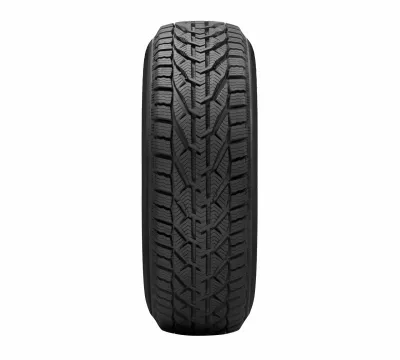 Taurus 225/45  R17  WINTER  [94] H  XL  FR